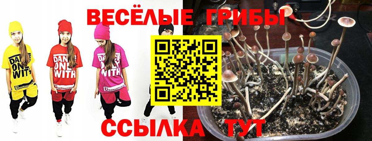 МЕФ   ТГК  Гашиш  Марихуана  ЭКСТАЗИ  Вход с VPN  Магнитогорск  Codein  ГАШИШ 